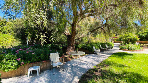 Shaded garden path