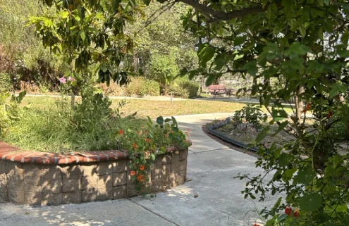 Garden paths and shaded seating