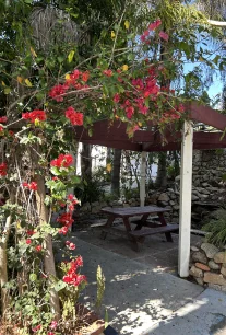 Huntington Manor garden